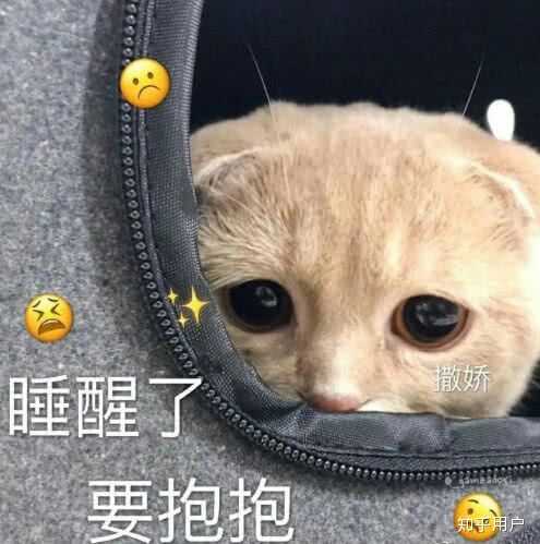 有哪些适合情侣之间的表情包?