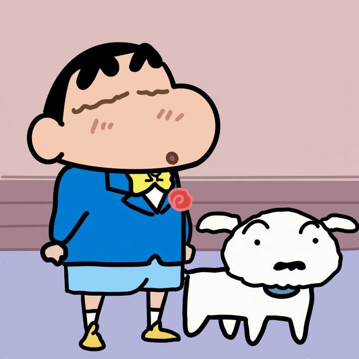 很奇怪为什么很多蜡笔小新的关于小新情头很多都是小新和妮妮啊?