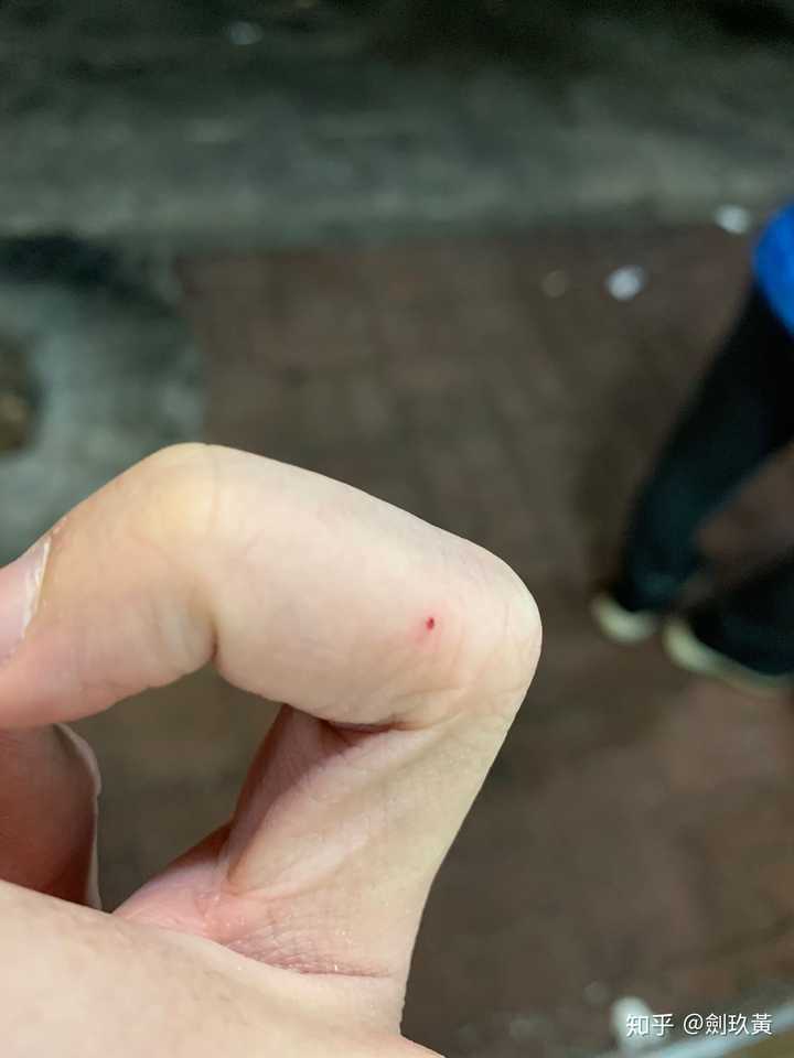 逗的太过分了夹我淦!巨痛