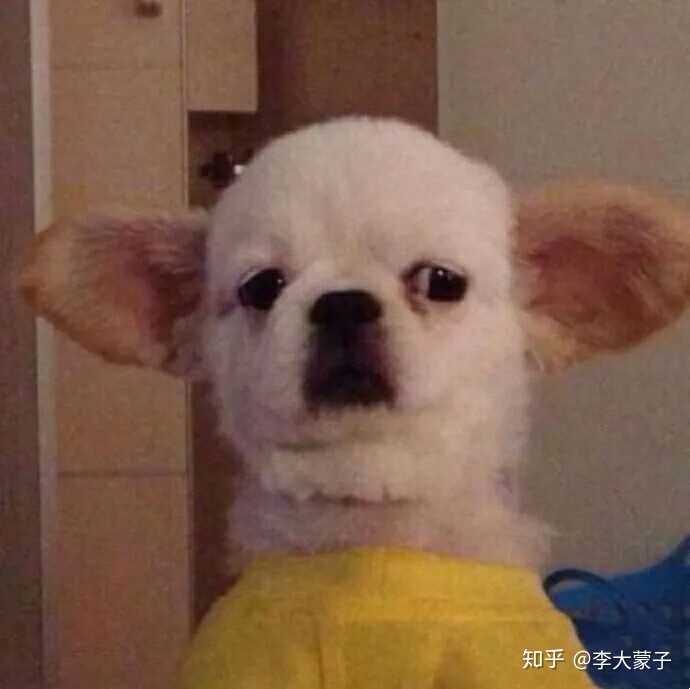 有没有一些既可爱又沙雕的女生头像?