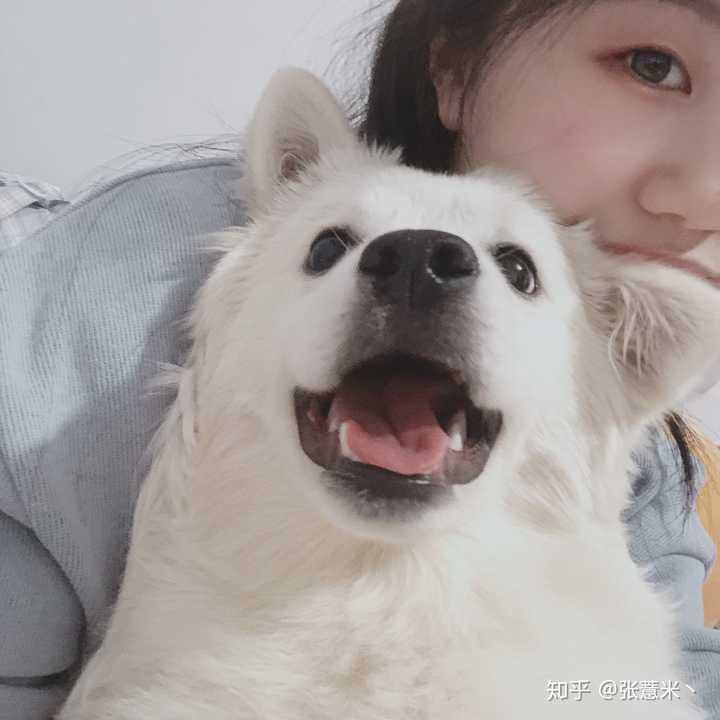 这张,现在是我的qq头像