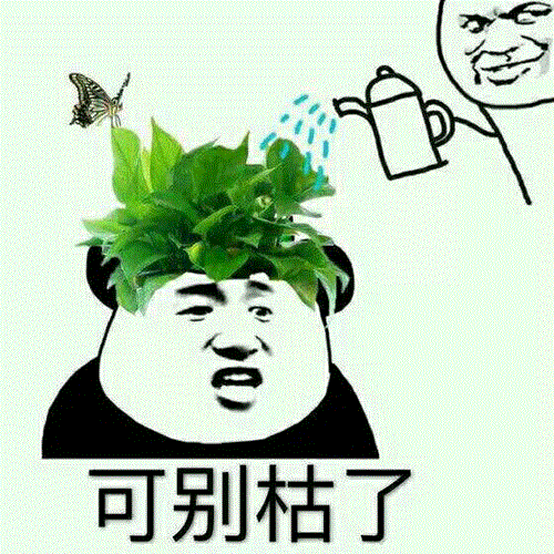 有没有让人一看就忍不住笑的表情包?