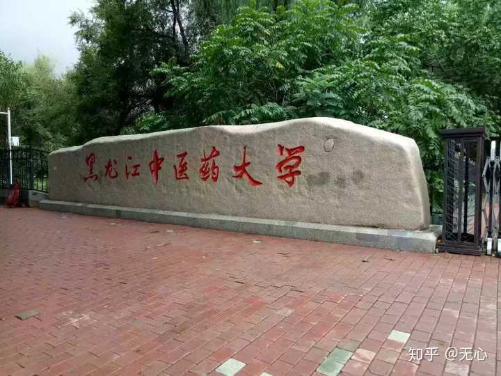 在黑龙江中医药大学就读是什么体验