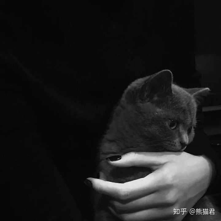 有没有什么好看的微信女生头像?