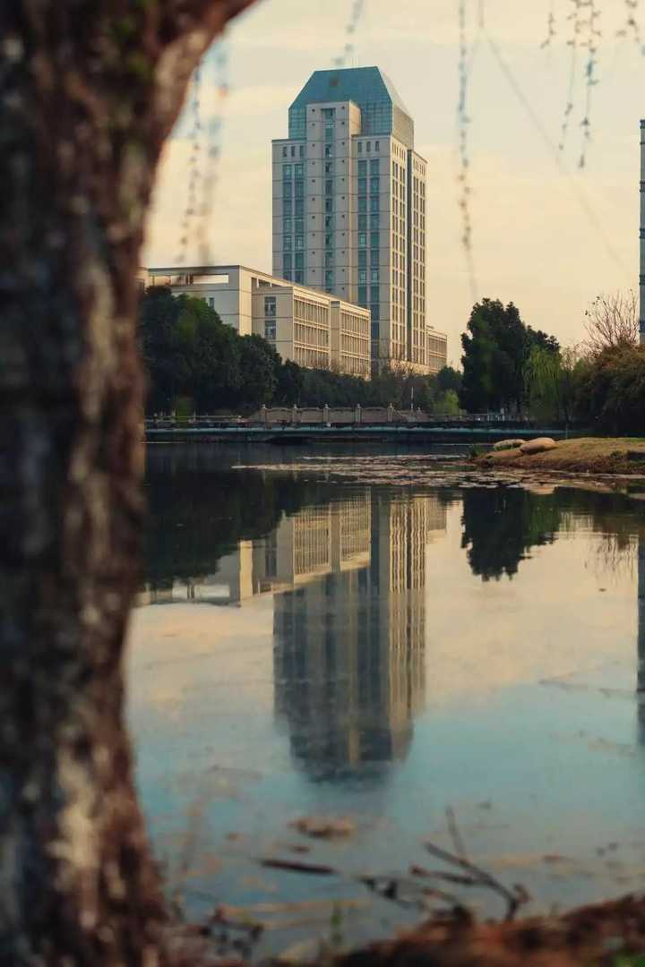江南大学应用化学怎么样?