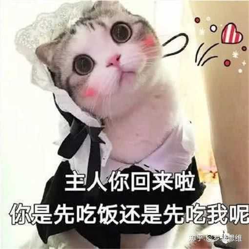 有哪些可以哄女朋友的表情包