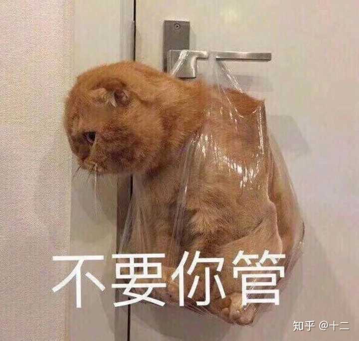 有哪些能把人死的表情包?