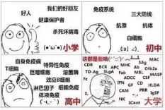 生物(难得找到几张自己专业的(_)