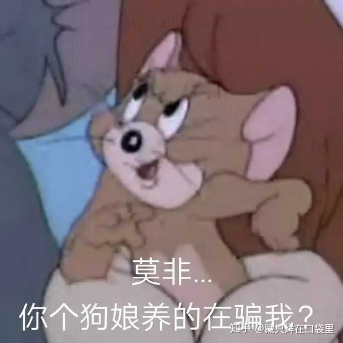 穿上品如的衣服   你就是这条街最骚的崽 莫非……你这狗娘养的在骗