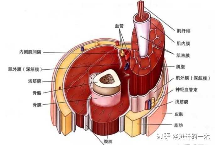 从网上看好了几款按摩仪,不知道效果怎么样,有没有用过的分享一下体验