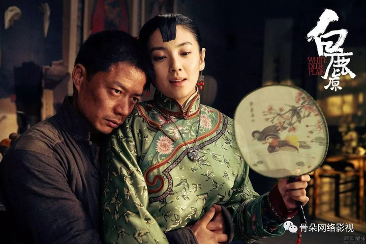 电视剧白鹿原为什么在播出一集后停播