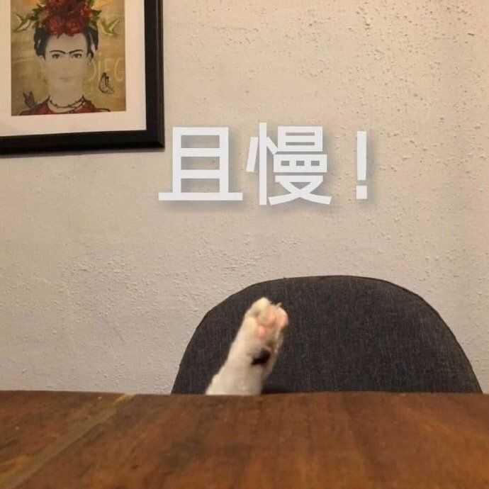 有哪些可爱有趣的表情包