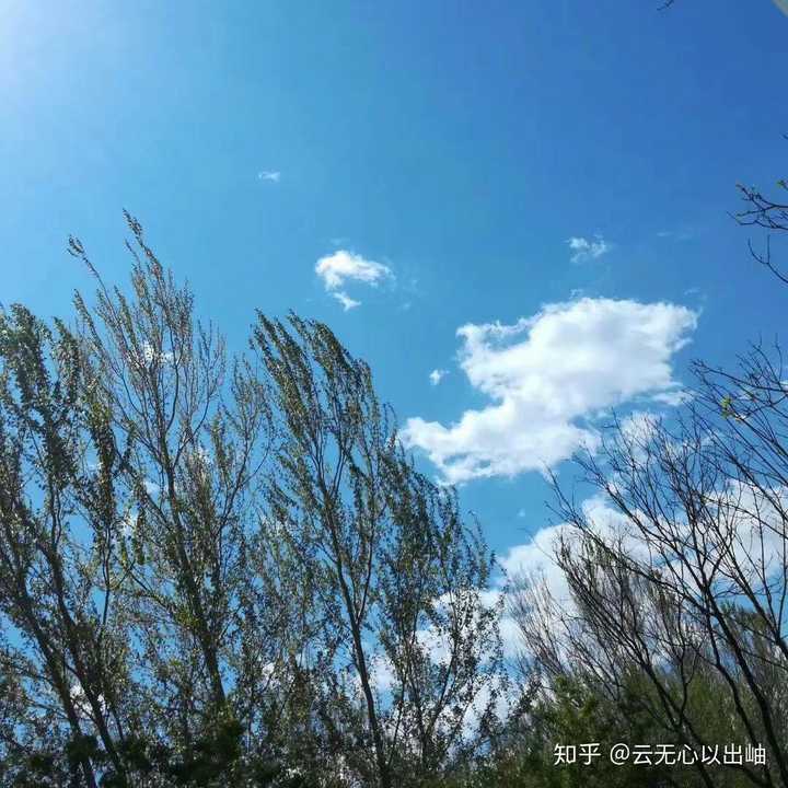 把你们觉得手机里面最好看的风景图发出来吧 要自己拍