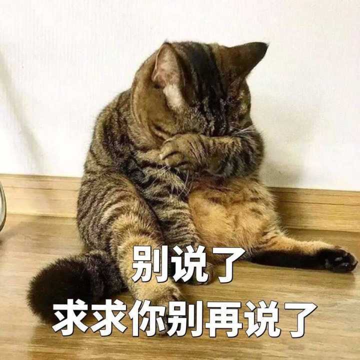 无语至极