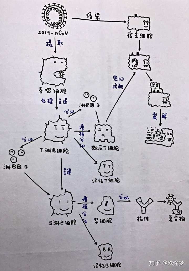 过敏有: 消化道过敏反应 皮肤过敏反应 呼吸道过敏反应 全身过敏反应