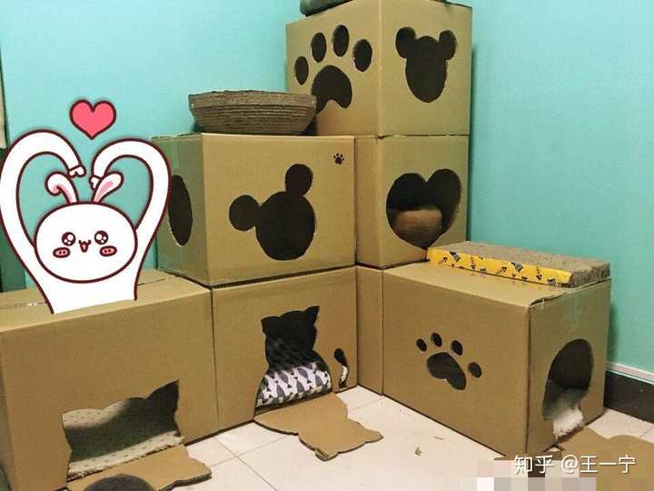如何用废旧纸箱给猫做猫窝或者猫爬架?