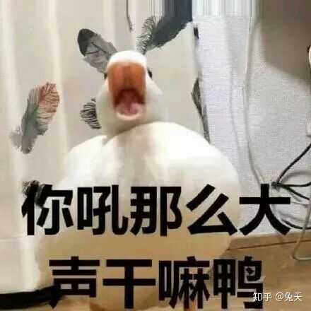 你有什么压箱底的表情包?
