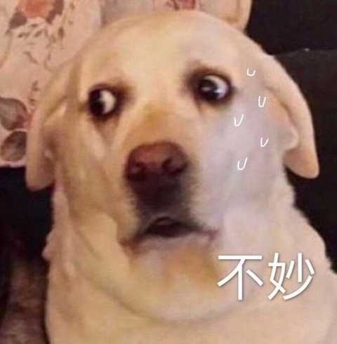 好想爱这个世界啊