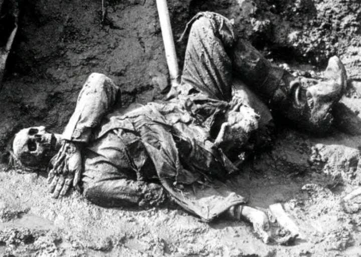 索姆河凡尔登战役中在无人区大量的被机枪杀死的英法联军尸体是如何