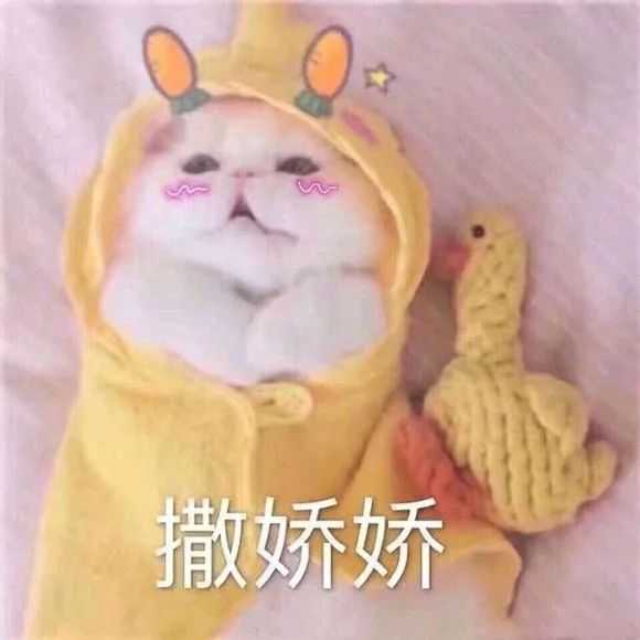 有哪些适合在撒娇时使用的表情包?