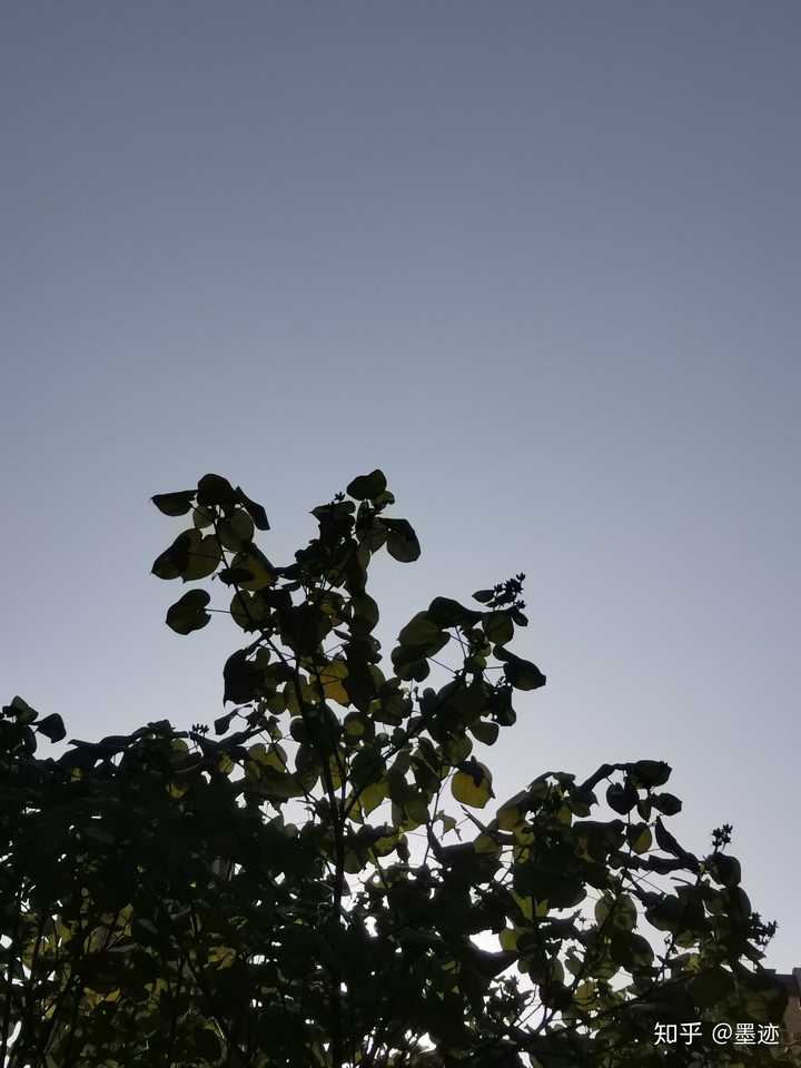 好巧,我也是找一个风景好安静的地方呆着,平静自己的心.