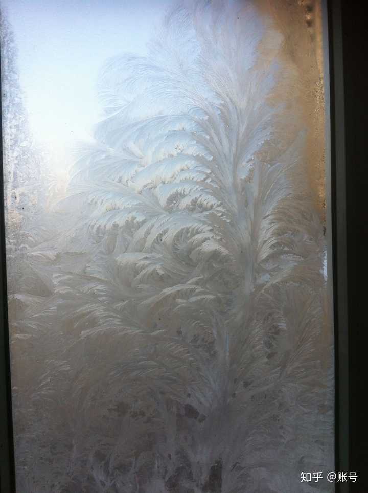 冬天窗户上的冰花.