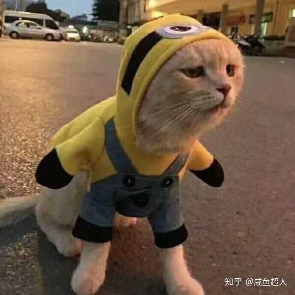 有哪些阳光开朗的头像推荐?