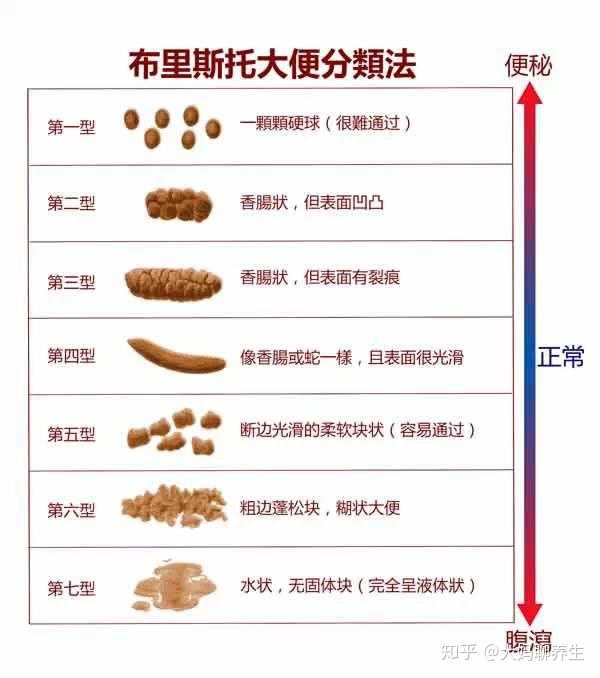 怎样做到一天一拉屎?