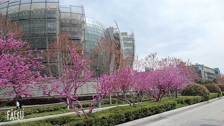 在苏州大学(soochow university)就读是怎样一番体验?