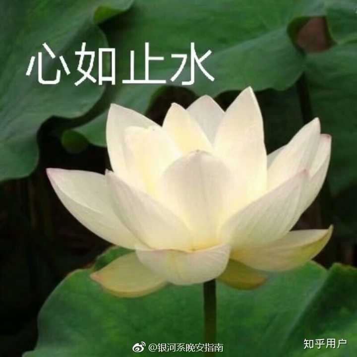 不要生气,不要生气,生气给魔鬼留地步