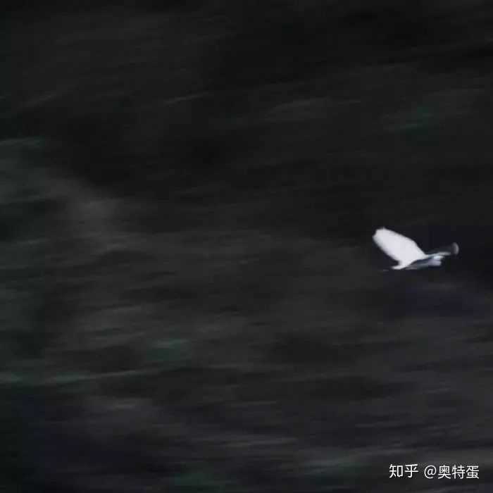 个人喜好(双相抑郁症患者的:) 壁纸头像背影图℡