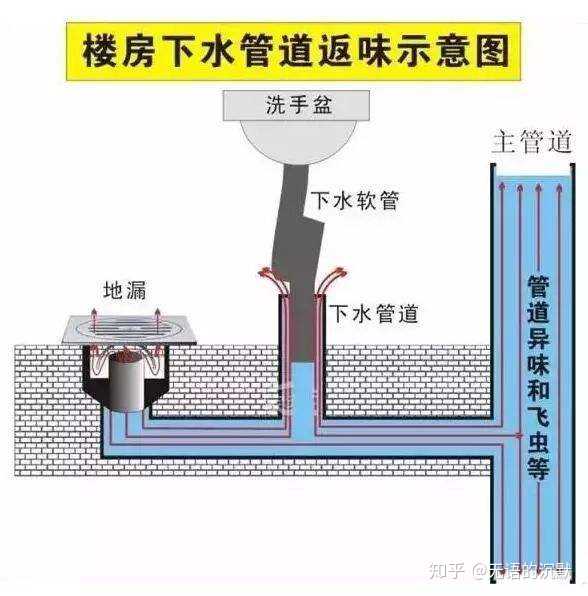 卫生间干区要不要地漏?