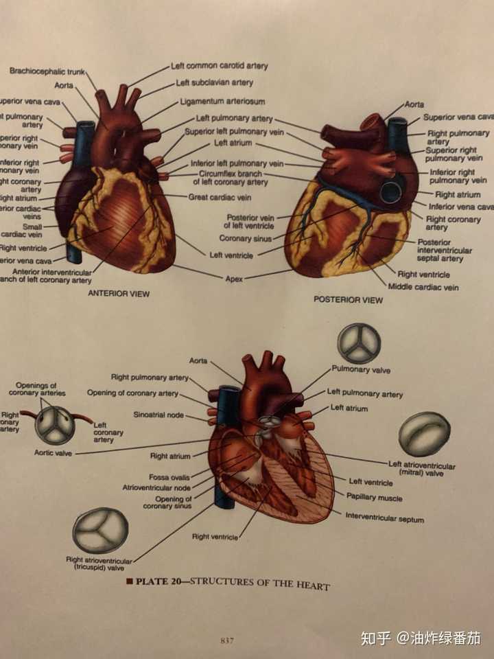 医学有趣吗?
