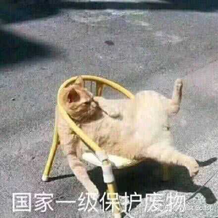 你用过的最沙雕的表情包是什么?