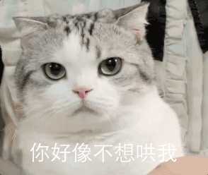 有哪些可爱到哭泣的猫咪图片或者表情包?