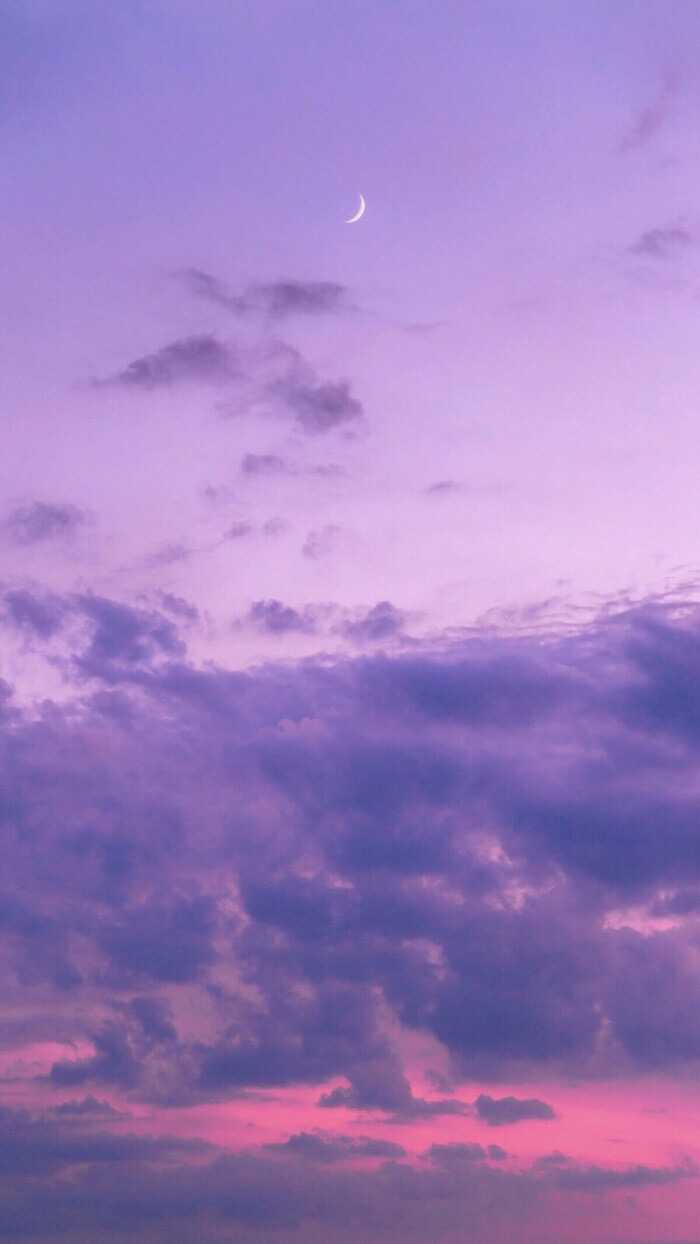 有没有美出高级感的紫色自然壁纸?