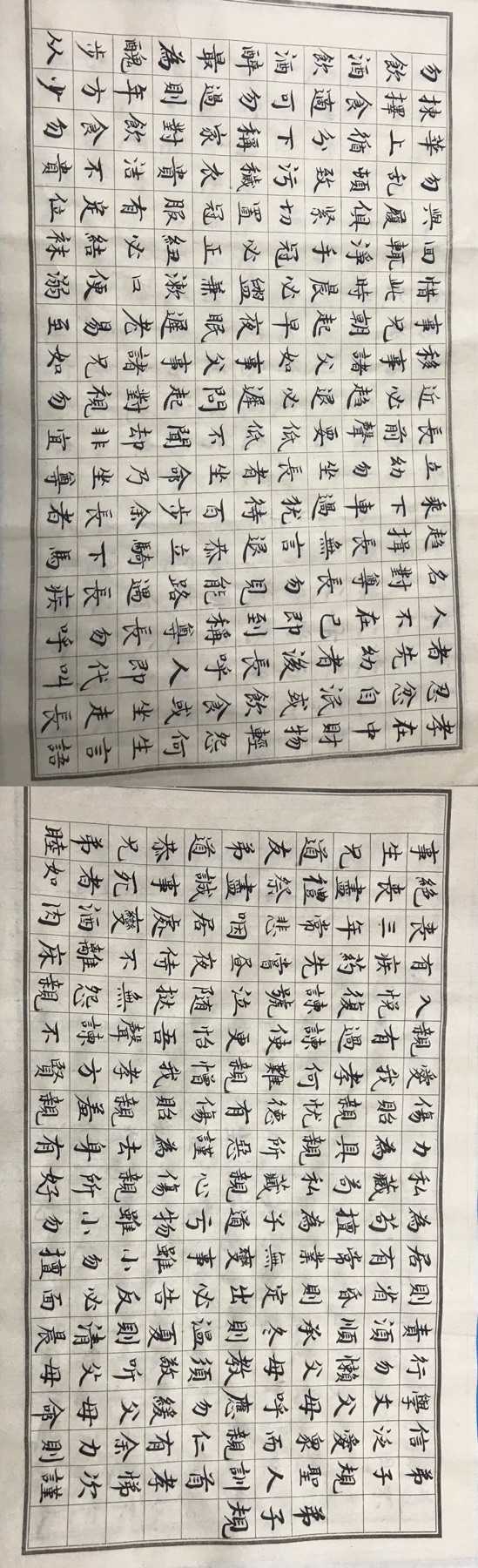 然后是断断续续抄的弟子规