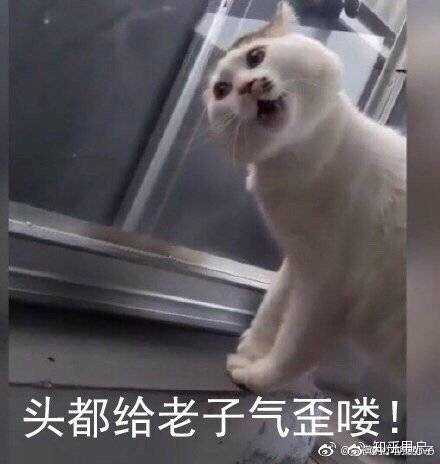 谁要敢这么勾搭我男朋友我头都给你打歪