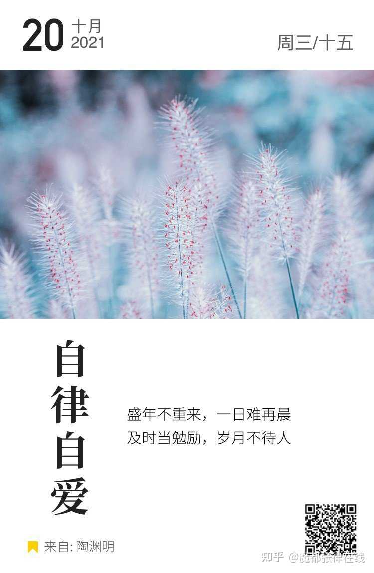 魔都张律在线 的想法: #自律自爱# 1020,周三,十月