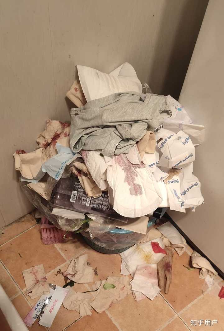 的太恶心了,公用的卫生间里,带姨妈血的卫生纸扔了满地,还有带血内裤