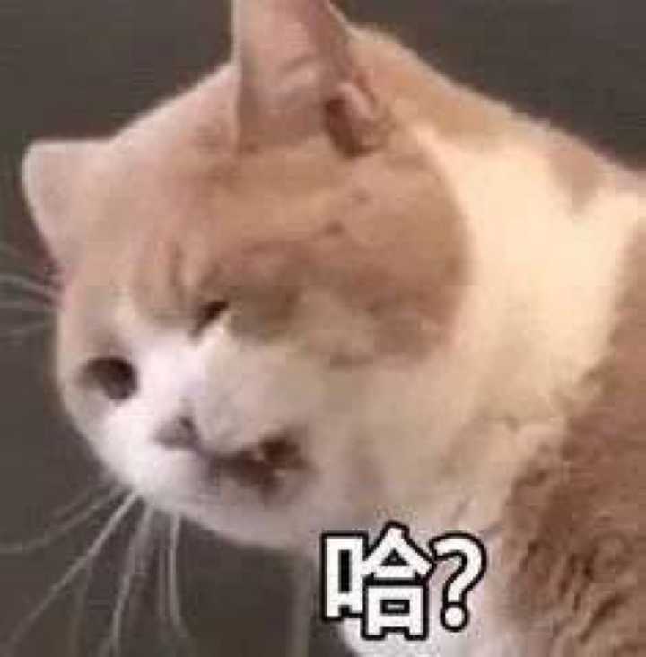 有没有那种凶巴巴但又不骂脏话的怼人表情包啊?