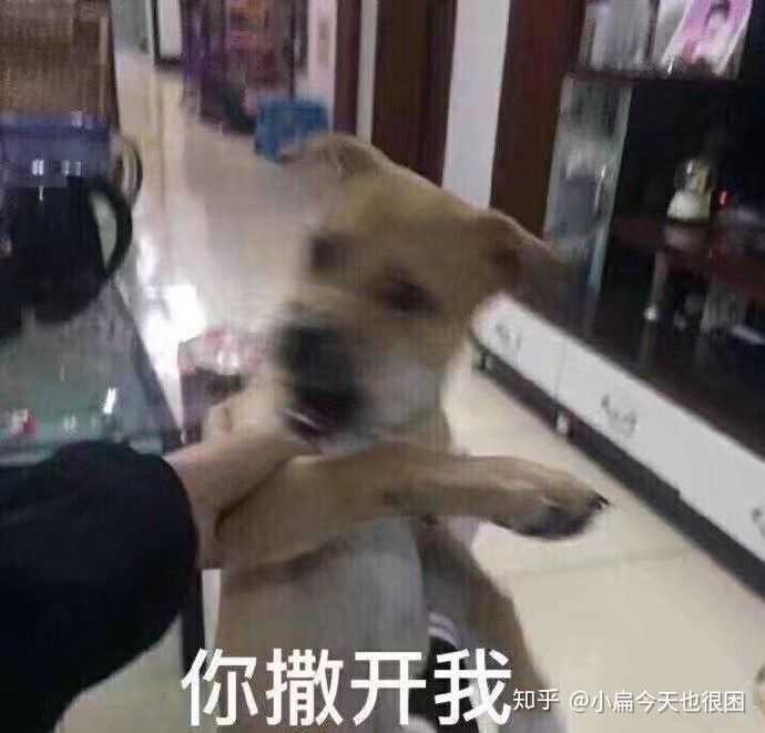 你曾经用过什么沙雕qq个性签名?