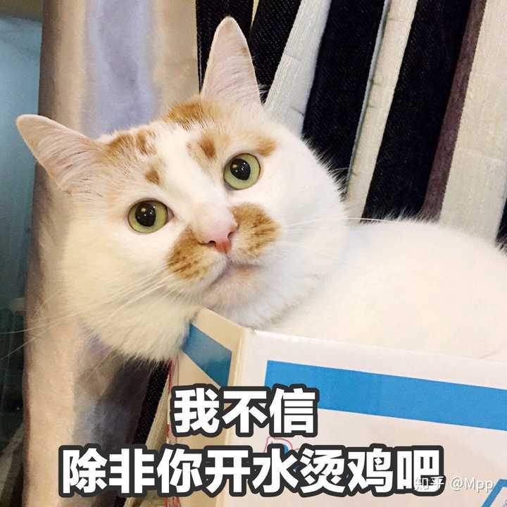 有没有可以给对象发的撒娇的表情包?