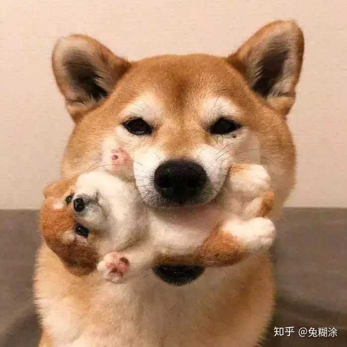 (重点在沙雕)?