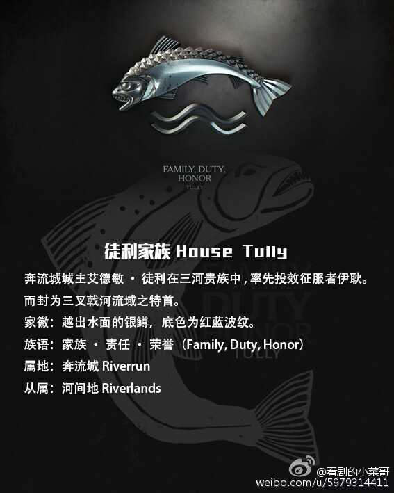 5,徒利家族house tully