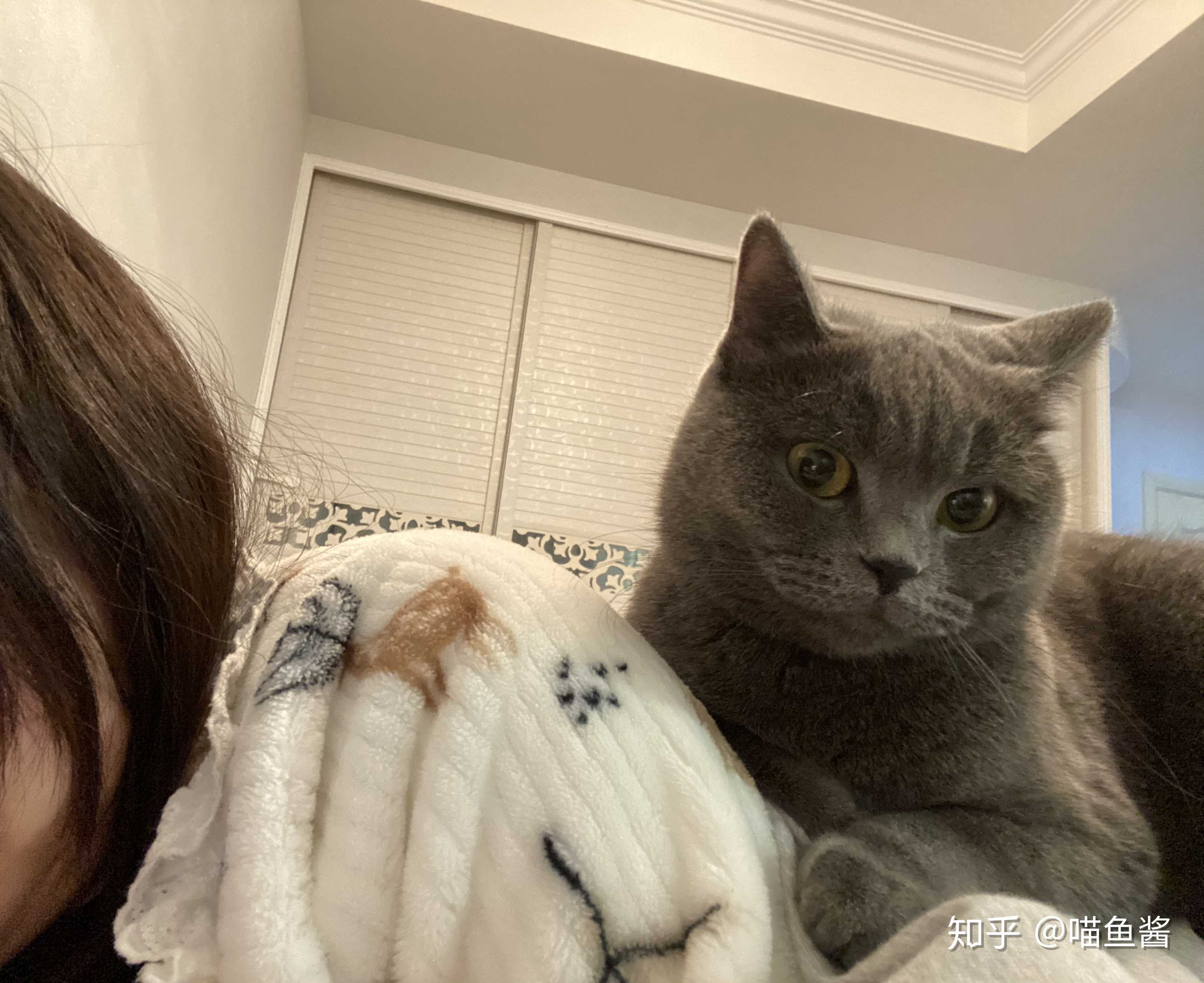 喵鱼酱 的想法 图1 嗑药猫长大啦 图2 出差一周,回来 知乎