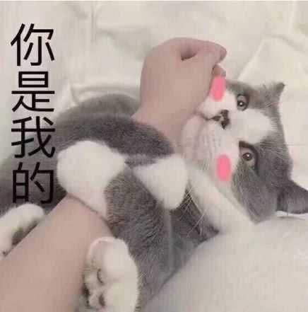 有哪些适合情侣之间的表情包?
