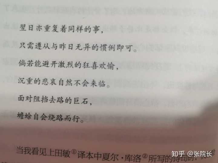 或者清秀淡雅的句子