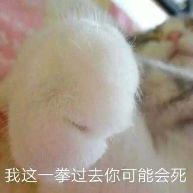 接下来是猫爪!