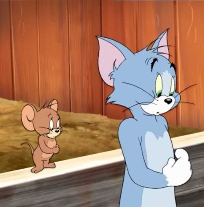 有哪些猫和老鼠的情头 ?